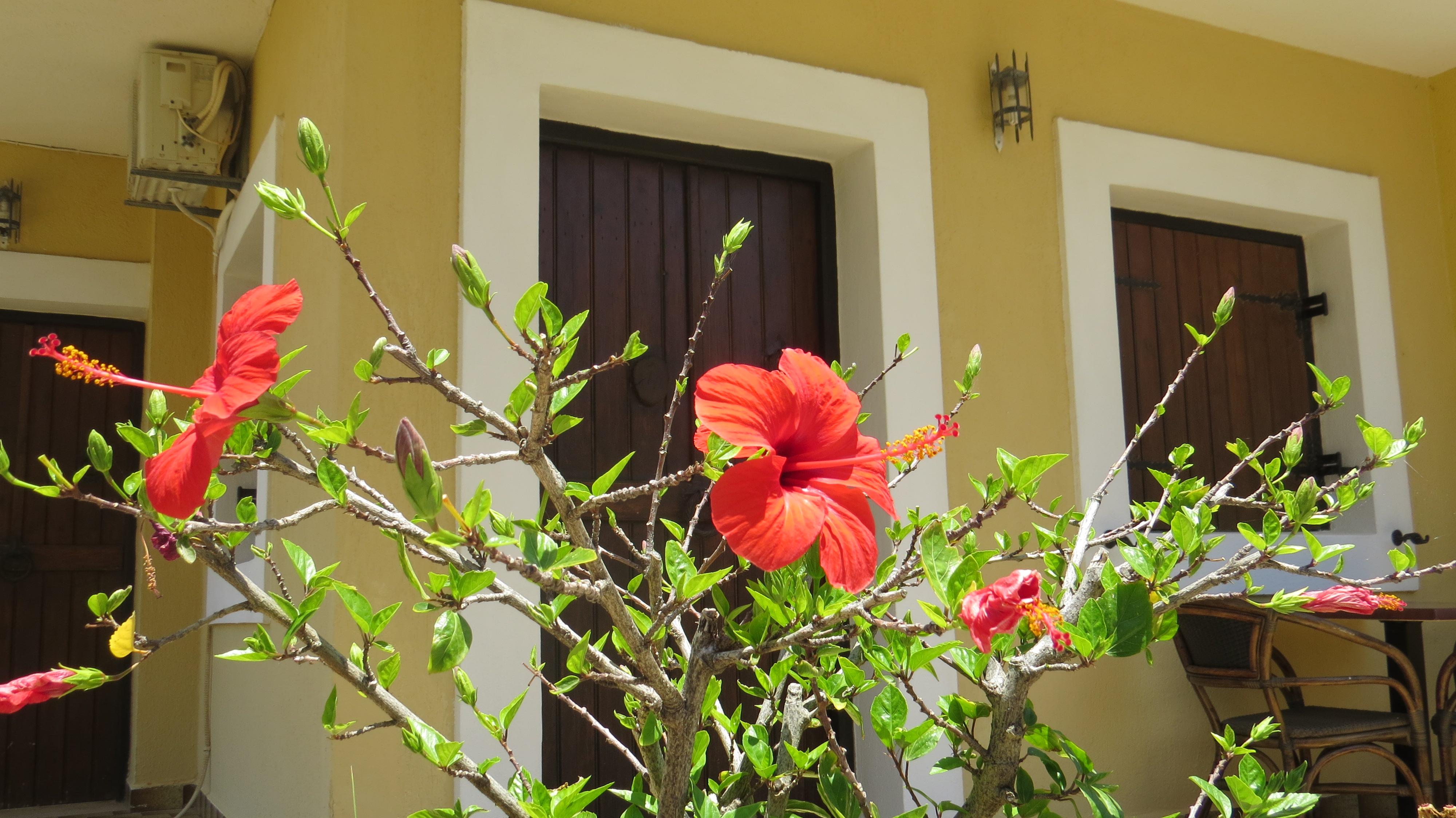 Villa Medusa Χερσόνησος Εξωτερικό φωτογραφία